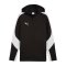 PUMA teamEVOSTRIPE Kapuzenjacke Schwarz F03 - schwarz