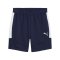 PUMA teamEVOSTRIPE Short Blau F06 - blau