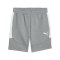 PUMA teamEVOSTRIPE Short Grau F33 - grau