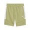 PUMA teamEVOSTRIPE Short Grün F40 - gruen