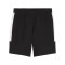 PUMA teamEVOSTRIPE Short Schwarz F03 - schwarz