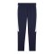 PUMA teamEVOSTRIPE Trainingshose Blau F06 - blau