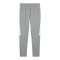 PUMA teamEVOSTRIPE Trainingshose Grau F33 - grau