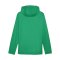 PUMA teamFINAL Allwetterjacke Grün F05 - gruen