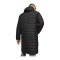 PUMA teamFINAL Bench Jacke Schwarz F03 - schwarz