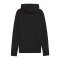 PUMA teamFINAL Casuals Kapuzenjacke Schwarz F03 - schwarz