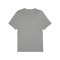 PUMA teamFINAL Casuals T-Shirt Grau F33 - grau