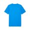 PUMA teamFINAL Graphic Trikot Blau F02 - blau