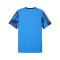 PUMA teamFINAL Graphic Trikot Blau F02 - blau