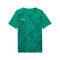 PUMA teamFINAL Graphic Trikot Grün F05 - gruen