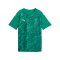 PUMA teamFINAL Graphic Trikot Kids Grün F05 - gruen