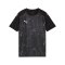 PUMA teamFINAL Graphic Trikot Kids Schwarz F03 - schwarz