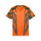 PUMA teamFINAL Graphic Trikot Orange F37 - orange