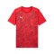 PUMA teamFINAL Graphic Trikot Rot F01 - rot