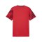 PUMA teamFINAL Graphic Trikot Rot F01 - rot