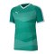PUMA teamFINAL Indoor Trikot kurzarm Grün F05 - gruen