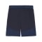 PUMA teamFINAL Short Blau Weiss Blau F06 - blau