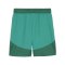 PUMA teamFINAL Short Grün Weiss Grün F05 - gruen