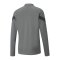 PUMA teamFINAL Training 1/4 Zip Sweatshirt F13 - grau