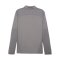 PUMA teamFINAL Training 1/4 Zip Sweatshirt F13 - grau