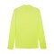 PUMA teamFINAL Training 1/4 Zip Sweatshirt F30 - tuerkis