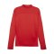 PUMA teamFINAL Training 1/4 Zip Sweatshirt Rot F01 - rot