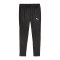 PUMA teamFINAL Trainingshose Schwarz F03 - schwarz
