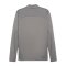 PUMA teamFINAL Trainingsjacke Grau F13 - grau