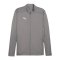 PUMA teamFINAL Trainingsjacke Grau F13 - grau