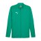 PUMA teamFINAL Trainingsjacke Grün F05 - gruen