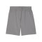 PUMA teamFINAL Trainingsshorts Grau F13 - grau