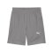 PUMA teamFINAL Trainingsshorts Grau F13 - grau