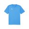 PUMA teamFINAL Trikot Blau F02 - blau