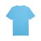 PUMA TeamFINAL Trikot Blau F18 - blau