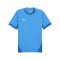 PUMA teamFINAL Trikot Blau Weiss Blau F02 - blau