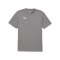 PUMA teamFINAL Trikot Grau F13 - grau