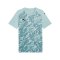 PUMA TeamFINAL Trikot Grün F41 - gruen