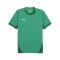 PUMA teamFINAL Trikot Grün Weiss Grün F05 - gruen