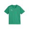 PUMA teamFINAL Trikot Kids Grün F05 - gruen