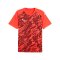 PUMA TeamFINAL Trikot Rot F42 - rot