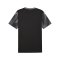 PUMA teamFINAL Trikot Schwarz F03 - schwarz