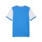 PUMA teamFINAL26 Knit Trikot Blau F02 - blau