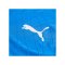 PUMA teamFINAL26 Knit Trikot Blau F02 - blau