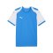 PUMA teamFINAL26 Knit Trikot Blau F02 - blau