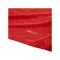 PUMA teamFINAL26 Knit Trikot Rot F01 - rot