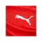 PUMA teamFINAL26 Knit Trikot Rot F01 - rot
