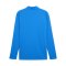 PUMA teamFINAL26 Training 1/4 Zip Top Blau F02 - blau