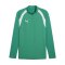 PUMA teamFINAL26 Training 1/4 Zip Top Grün F05 - gruen