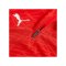 PUMA teamFINAL26 Training 1/4 Zip Top Rot F01 - rot