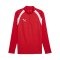 PUMA teamFINAL26 Training 1/4 Zip Top Rot F01 - rot